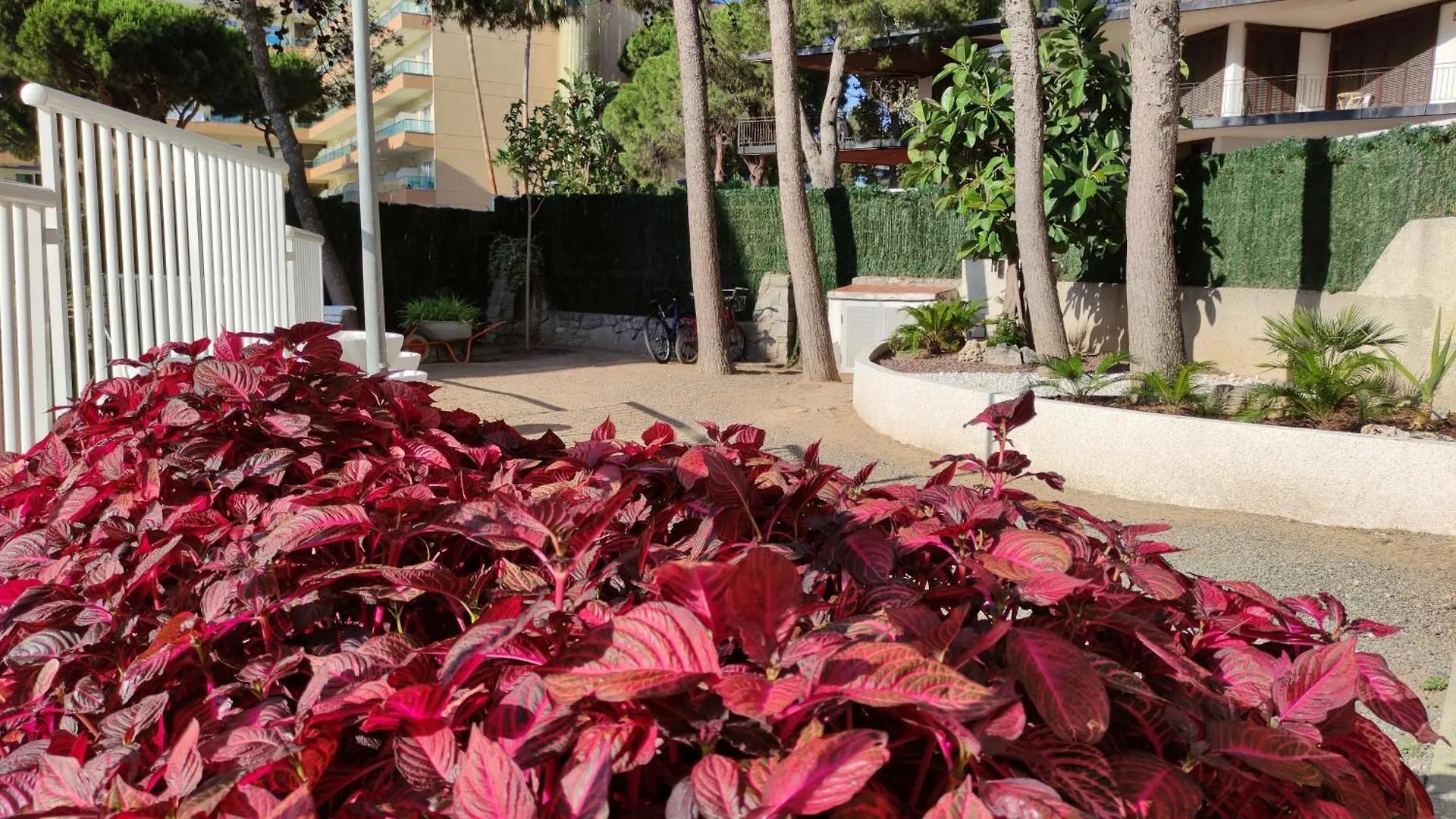 Daire Paradis Salou, Centro Turistico, Wifi, Piscina, Vistas Al Mar